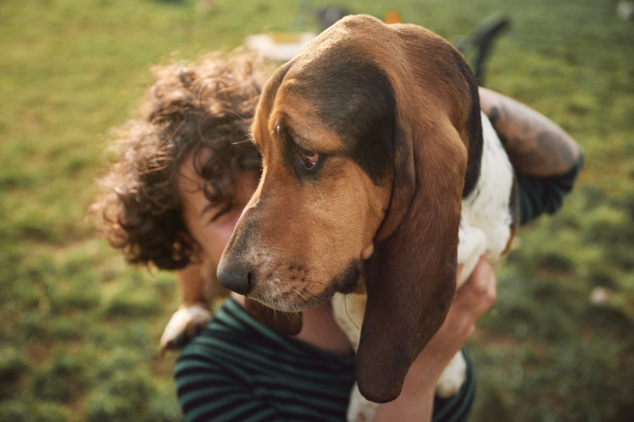 Aline e i suoi cani | reportage e ritratti